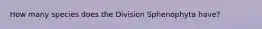 How many species does the Division Sphenophyta have?
