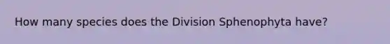 How many species does the Division Sphenophyta have?