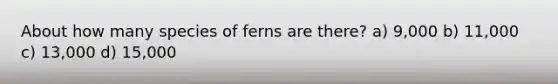 About how many species of ferns are there? a) 9,000 b) 11,000 c) 13,000 d) 15,000