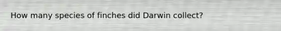 How many species of finches did Darwin collect?