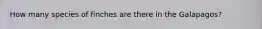 How many species of finches are there in the Galapagos?