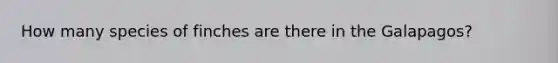 How many species of finches are there in the Galapagos?