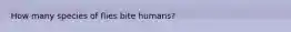 How many species of flies bite humans?