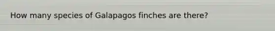 How many species of Galapagos finches are there?