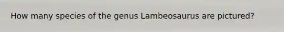 How many species of the genus Lambeosaurus are pictured?