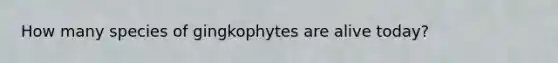 How many species of gingkophytes are alive today?