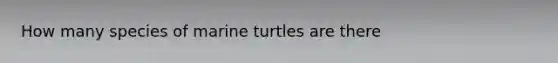 How many species of marine turtles are there