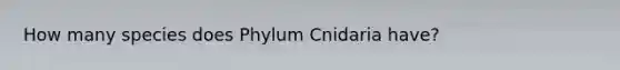 How many species does Phylum Cnidaria have?