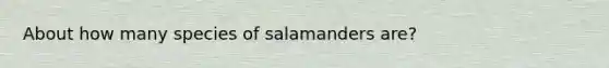 About how many species of salamanders are?