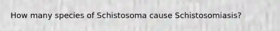 How many species of Schistosoma cause Schistosomiasis?