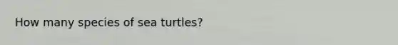 How many species of sea turtles?