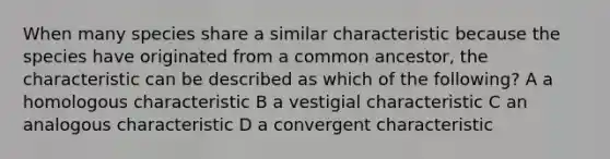 When many species share a similar characteristic because the species have originated from a common ancestor, the characteristic can be described as which of the following? A a homologous characteristic B a vestigial characteristic C an analogous characteristic D a convergent characteristic