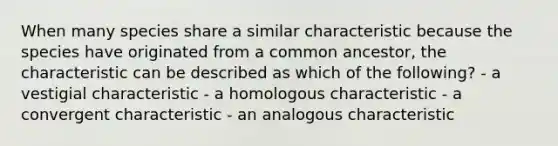 When many species share a similar characteristic because the species have originated from a common ancestor, the characteristic can be described as which of the following? - a vestigial characteristic - a homologous characteristic - a convergent characteristic - an analogous characteristic