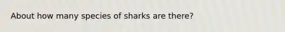 About how many species of sharks are there?