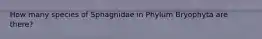 How many species of Sphagnidae in Phylum Bryophyta are there?