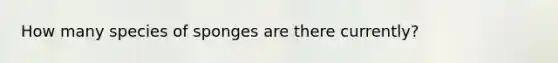 How many species of sponges are there currently?