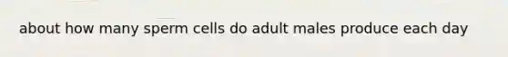 about how many sperm cells do adult males produce each day