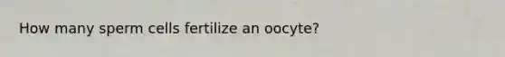 How many sperm cells fertilize an oocyte?