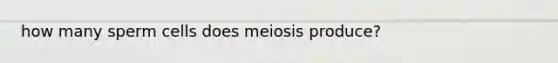 how many sperm cells does meiosis produce?