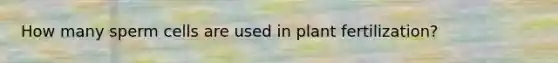 How many sperm cells are used in plant fertilization?