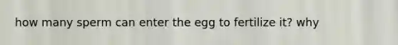 how many sperm can enter the egg to fertilize it? why