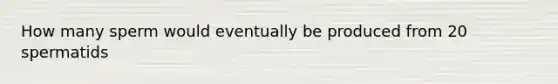 How many sperm would eventually be produced from 20 spermatids