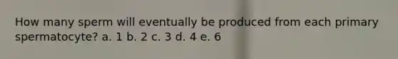 How many sperm will eventually be produced from each primary spermatocyte? a. 1 b. 2 c. 3 d. 4 e. 6