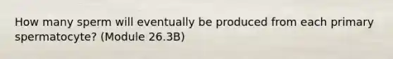 How many sperm will eventually be produced from each primary spermatocyte? (Module 26.3B)