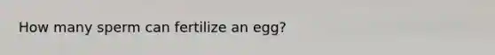 How many sperm can fertilize an egg?