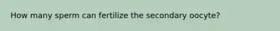 How many sperm can fertilize the secondary oocyte?