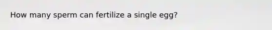 How many sperm can fertilize a single egg?