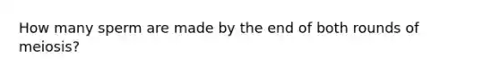 How many sperm are made by the end of both rounds of meiosis?