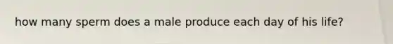 how many sperm does a male produce each day of his life?
