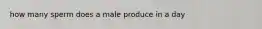 how many sperm does a male produce in a day