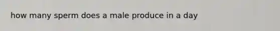 how many sperm does a male produce in a day