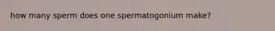 how many sperm does one spermatogonium make?