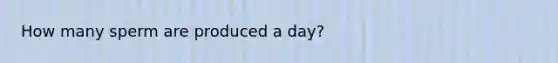 How many sperm are produced a day?