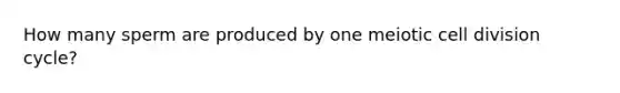 How many sperm are produced by one meiotic cell division cycle?