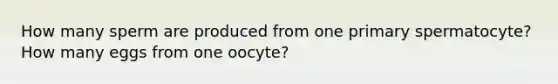 How many sperm are produced from one primary spermatocyte? How many eggs from one oocyte?