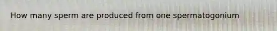 How many sperm are produced from one spermatogonium