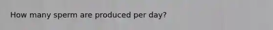 How many sperm are produced per day?