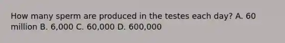 How many sperm are produced in the testes each day? A. 60 million B. 6,000 C. 60,000 D. 600,000