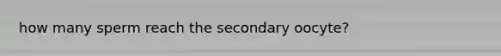 how many sperm reach the secondary oocyte?