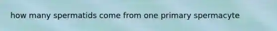 how many spermatids come from one primary spermacyte