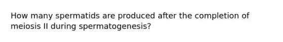 How many spermatids are produced after the completion of meiosis II during spermatogenesis?