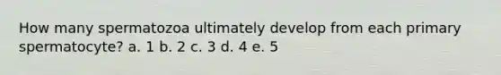 How many spermatozoa ultimately develop from each primary spermatocyte? a. 1 b. 2 c. 3 d. 4 e. 5