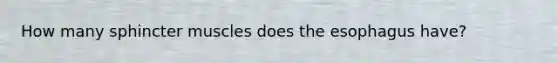 How many sphincter muscles does <a href='https://www.questionai.com/knowledge/kSjVhaa9qF-the-esophagus' class='anchor-knowledge'>the esophagus</a> have?