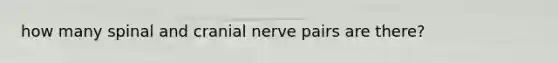 how many spinal and cranial nerve pairs are there?