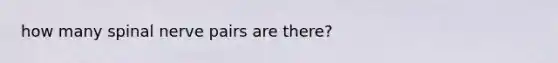 how many spinal nerve pairs are there?