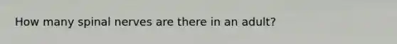 How many spinal nerves are there in an adult?